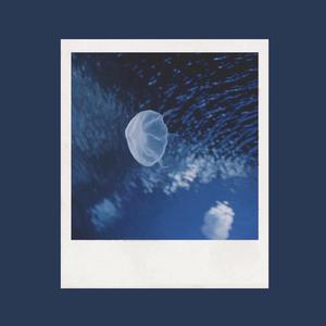 男人机巴入女人阴道啪啪啪视频
