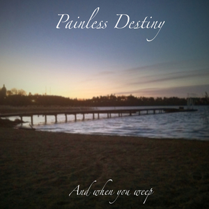 男人机巴入女人阴道啪啪啪视频
